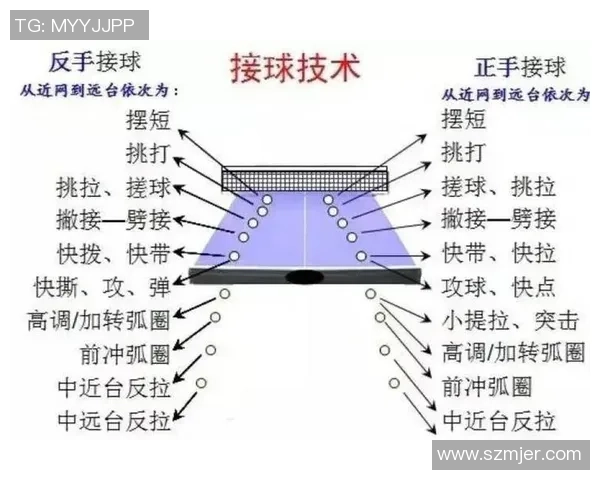 科学乒乓球：速度训练方法